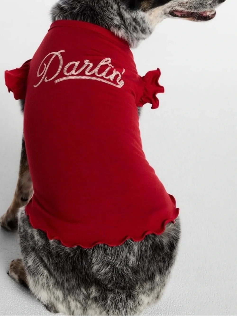 Kacey Lee  Pet Tee Shirt for Cats and Dogs, Red, White